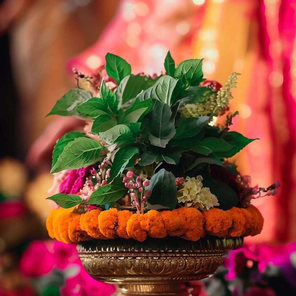 Decorated Tulsi plant during Tulsi Vivah ceremony.