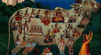 The Significance of the Holy Cow in Hinduism